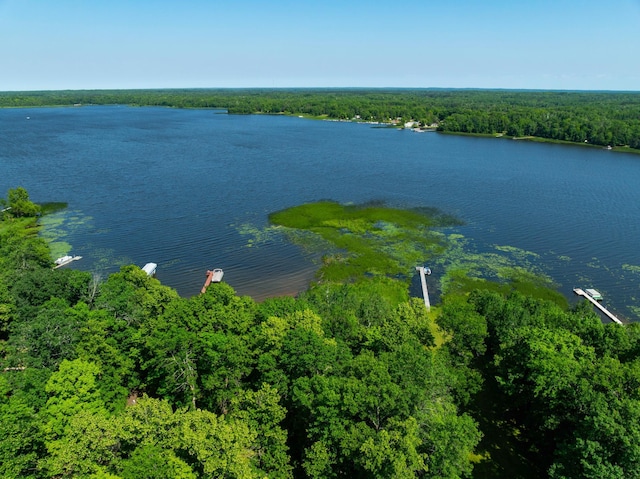 90162 Shady Oak Ln, Kerrick Twp, MN 55756 - water view featuring a forest