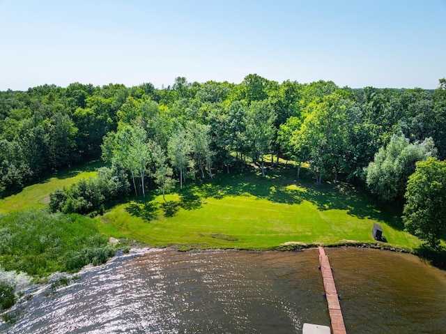 90162 Shady Oak Ln, Kerrick Twp, MN 55756 - bird's eye view of a large body of water
