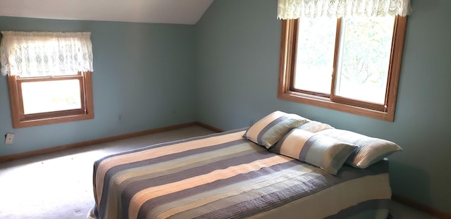 284 Elm St S, Prescott, WI 54021 - photo 29