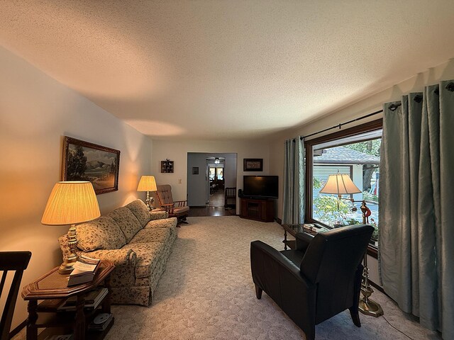 1610 6th St, Montevideo, MN 56265 - photo 12