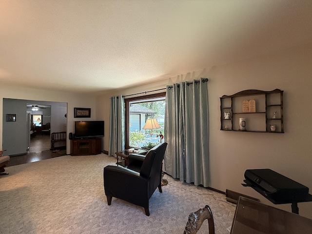 1610 6th St, Montevideo, MN 56265 - photo 13