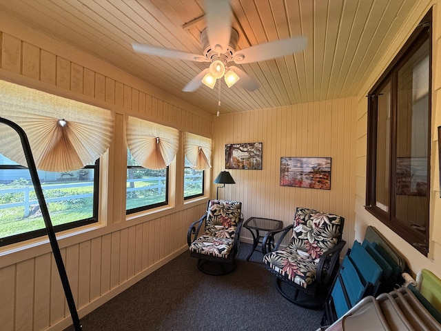 1610 6th St, Montevideo, MN 56265 - photo 27