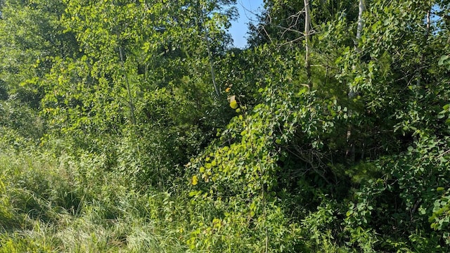 TBD 60th St SW, Maple Twp, MN 56472 - photo 2