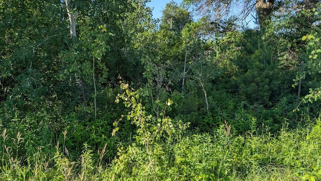 TBD 60th St SW, Maple Twp, MN 56472 - photo 3
