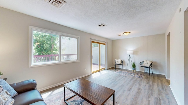 929 40th St NW, Rochester, MN 55901 - living room with wood finished floors and a textured ceiling