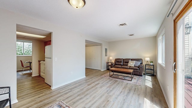 929 40th St NW, Rochester, MN 55901 - living room with light wood-type flooring and baseboards