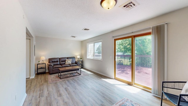 929 40th St NW, Rochester, MN 55901 - living area with wood finished floors and a textured ceiling