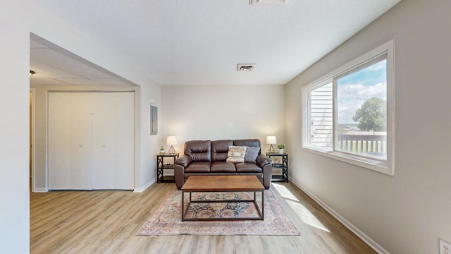 929 40th St NW, Rochester, MN 55901 - living room featuring wood finished floors and healthy amount of natural light