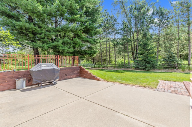 646 White Birch Dr, Shoreview, MN 55126 - photo 34