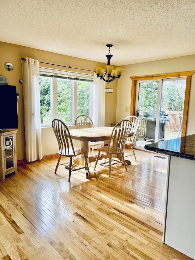 2157 Oak Ridge Rd SW, Grant Valley Twp, MN 56601 - photo 4