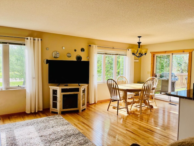 2157 Oak Ridge Rd SW, Grant Valley Twp, MN 56601 - photo 10