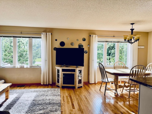 2157 Oak Ridge Rd SW, Grant Valley Twp, MN 56601 - photo 12