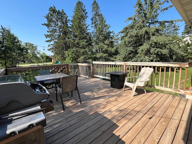 2157 Oak Ridge Rd SW, Grant Valley Twp, MN 56601 - photo 27