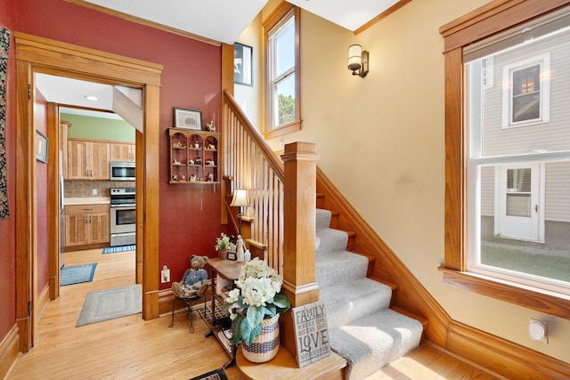 248 School St, Owatonna, MN 55060 - photo 4