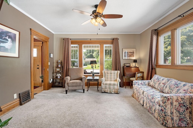 248 School St, Owatonna, MN 55060 - photo 8