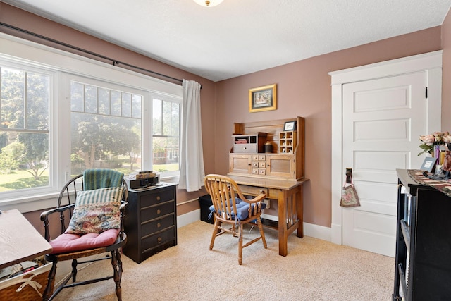 248 School St, Owatonna, MN 55060 - photo 21