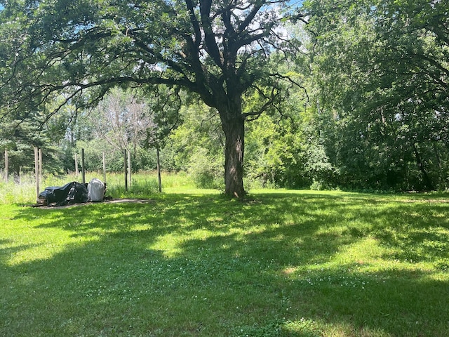 10101 River Rd, Brooklyn Park, MN 55444 - photo 5