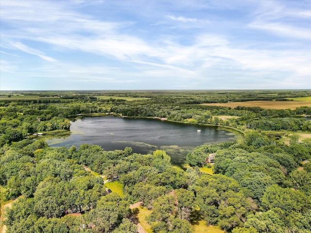 6485 46th Ave SE, Haven Twp, MN 56304 - bird's eye view of a heavily wooded area and a large body of water