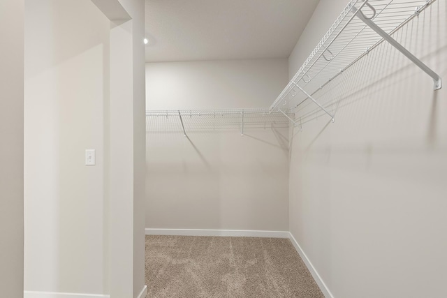 39746 Fallbrook Ave, North Branch, MN 55056 - spacious closet with carpet floors