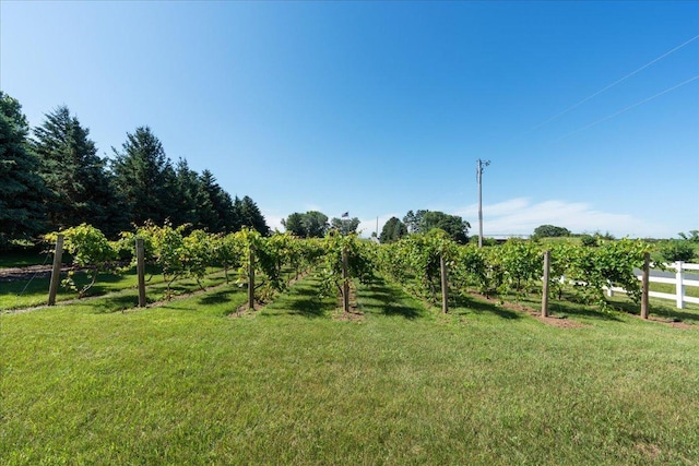 851 174th Ave, Somerset, WI 54017 - photo 27