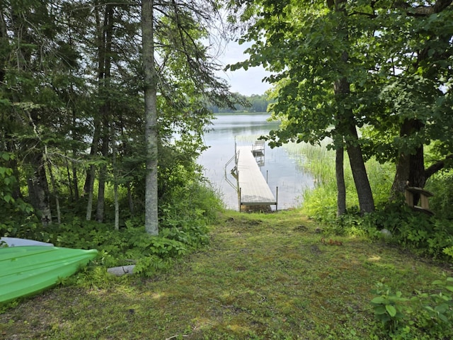 26361 Hammock Dr, Park Rapids, MN 56470 - photo 2