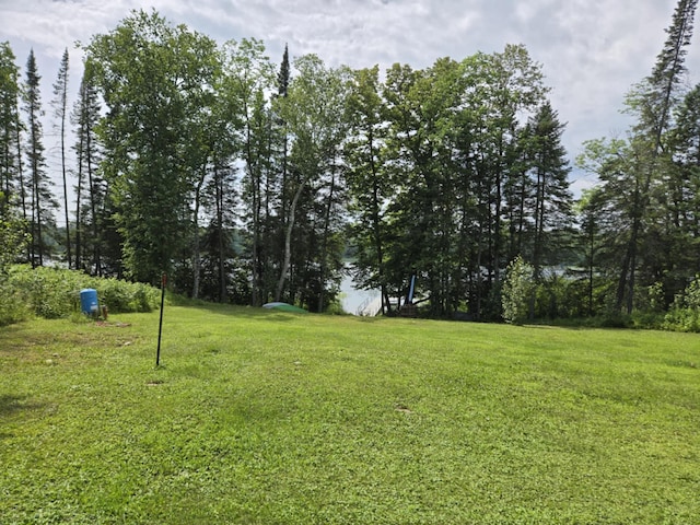 26361 Hammock Dr, Park Rapids, MN 56470 - photo 5