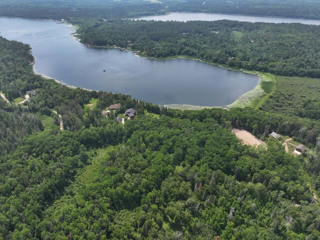 26361 Hammock Dr, Park Rapids, MN 56470 - photo 18