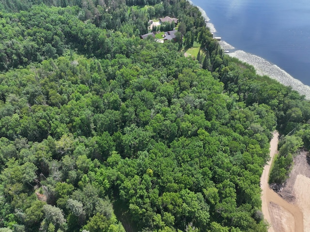 26361 Hammock Dr, Park Rapids, MN 56470 - photo 19