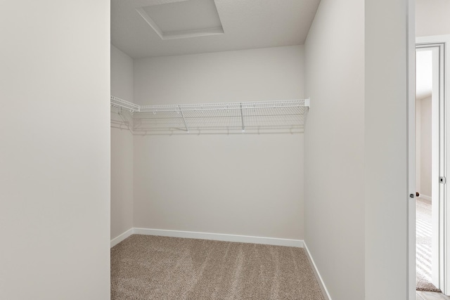 39743 Fallbrook Ave, North Branch, MN 55056 - spacious closet with attic access and light carpet