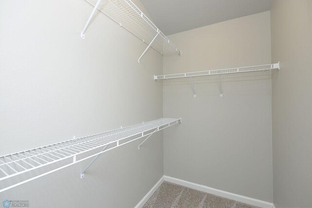 1170 Highland Ln W, West Fargo, ND 58078 - spacious closet with light colored carpet