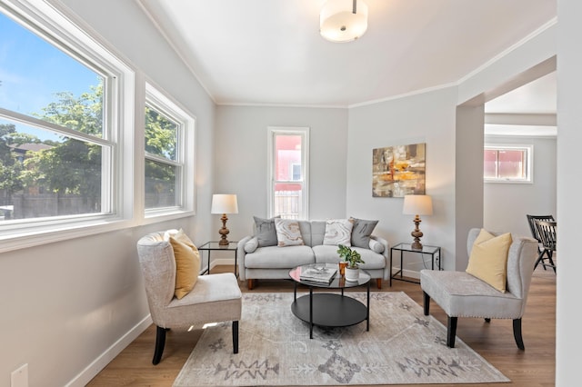 2804 Pillsbury Ave S, Minneapolis, MN 55408 - living area featuring healthy amount of natural light, wood finished floors, and crown molding