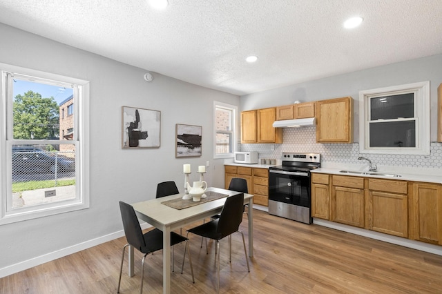 2804 Pillsbury Ave S, Minneapolis, MN 55408 - kitchen with stainless steel electric stove, under cabinet range hood, white microwave, decorative backsplash, and light countertops