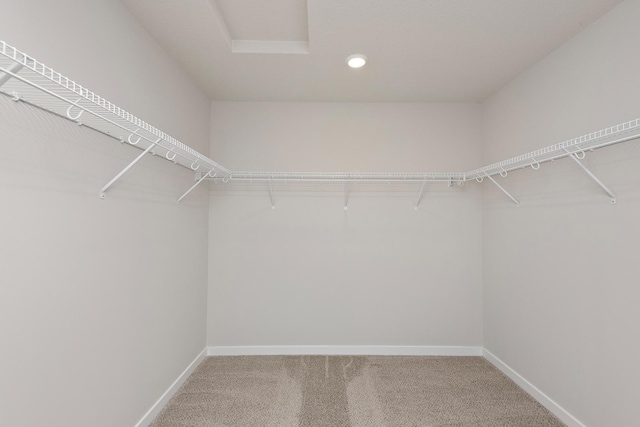 39723 Fallbrook Ave, North Branch, MN 55056 - spacious closet with carpet and attic access