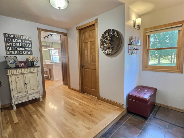3665 Pleason Ave NW, Annandale, MN 55302 - photo 18