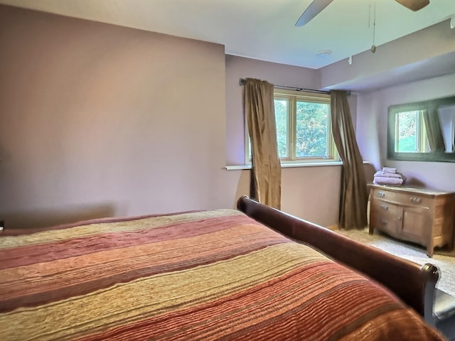 3665 Pleason Ave NW, Annandale, MN 55302 - photo 41