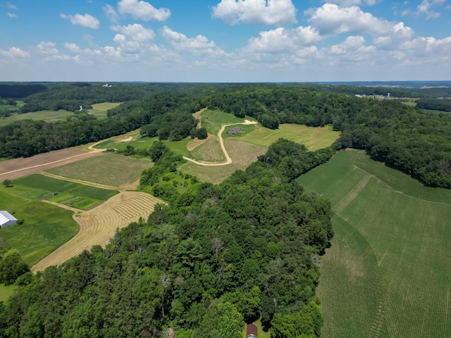 E2519 State Rd 29, Lucas Twp, WI 54751 - photo 4