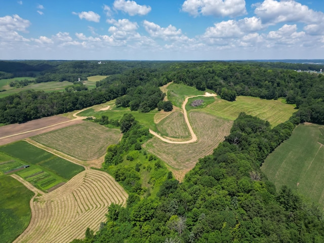 E2519 State Rd 29, Lucas Twp, WI 54751 - photo 5
