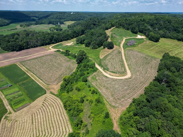 E2519 State Rd 29, Lucas Twp, WI 54751 - photo 7