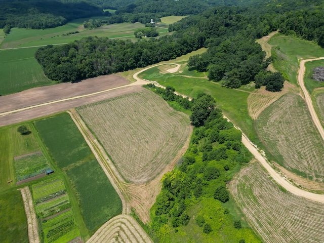 E2519 State Rd 29, Lucas Twp, WI 54751 - photo 8