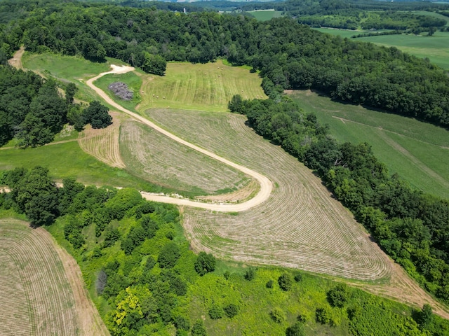 E2519 State Rd 29, Lucas Twp, WI 54751 - photo 9
