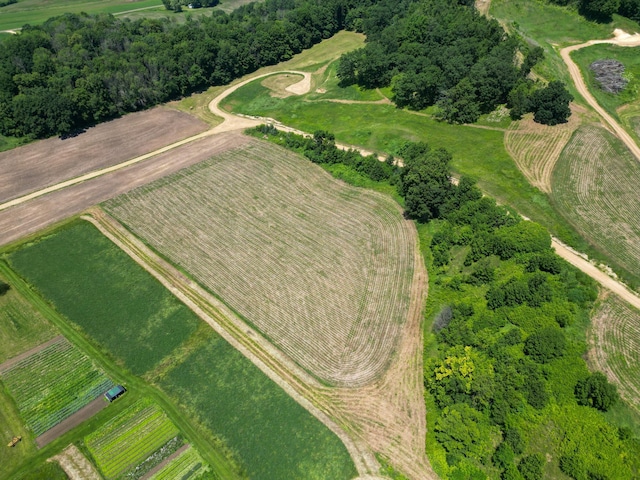 E2519 State Rd 29, Lucas Twp, WI 54751 - photo 10