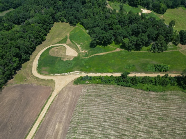 E2519 State Rd 29, Lucas Twp, WI 54751 - photo 11