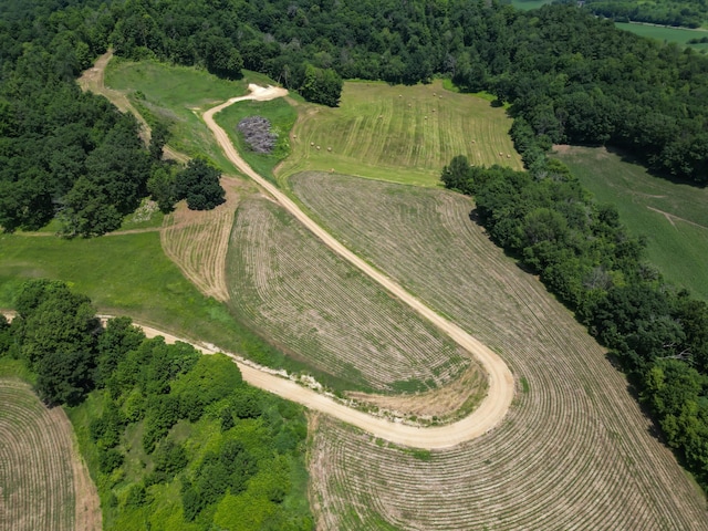 E2519 State Rd 29, Lucas Twp, WI 54751 - photo 12