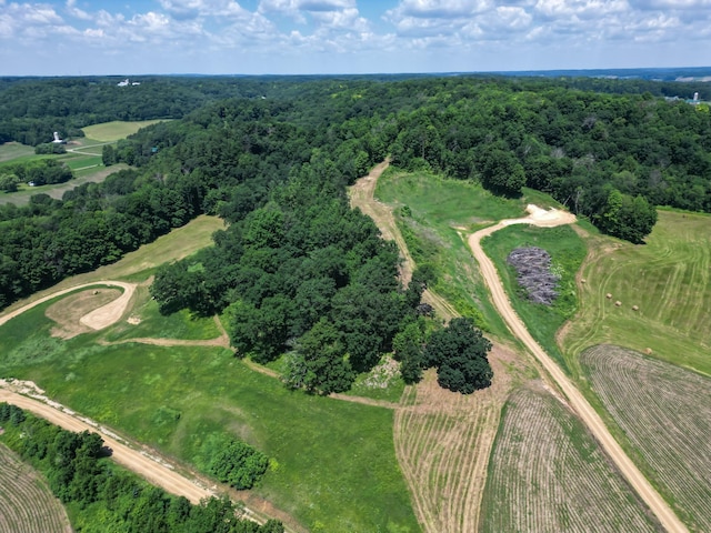 E2519 State Rd 29, Lucas Twp, WI 54751 - photo 14