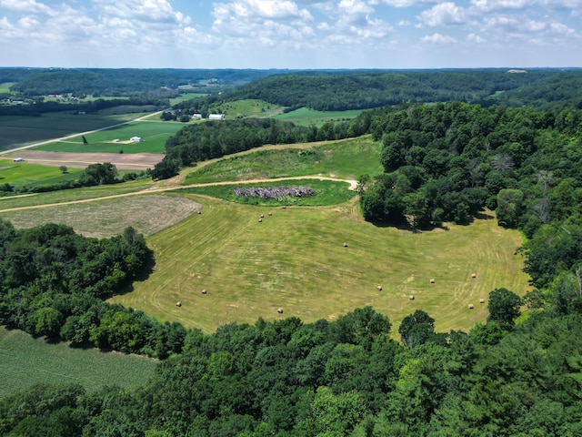 E2519 State Rd 29, Lucas Twp, WI 54751 - photo 23