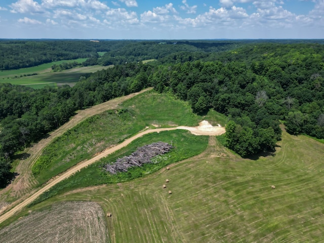 E2519 State Rd 29, Lucas Twp, WI 54751 - photo 24