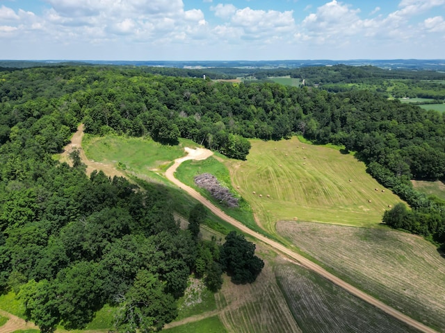 E2519 State Rd 29, Lucas Twp, WI 54751 - photo 26