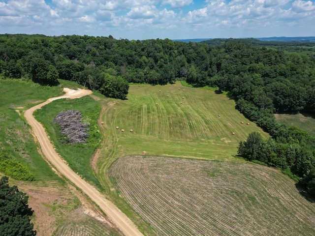 E2519 State Rd 29, Lucas Twp, WI 54751 - photo 28