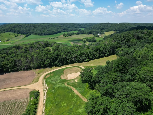 E2519 State Rd 29, Lucas Twp, WI 54751 - photo 29