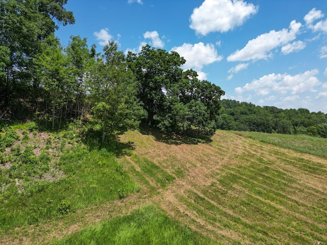 E2519 State Rd 29, Lucas Twp, WI 54751 - photo 32